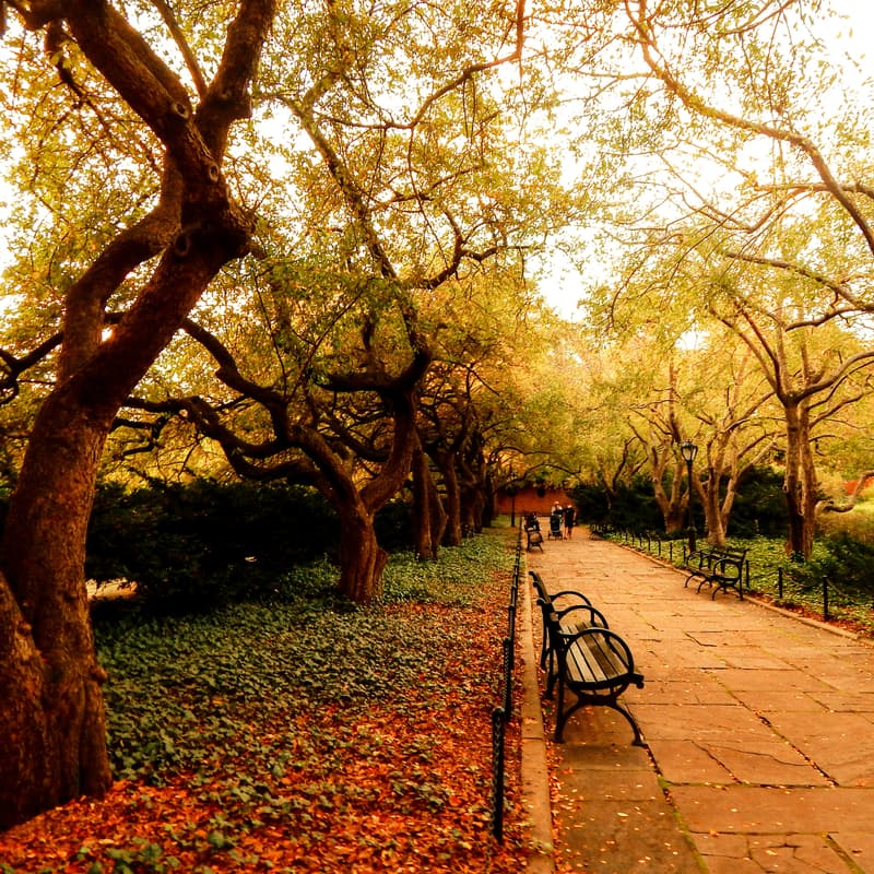 Cover Image for High Happy Hour Walk