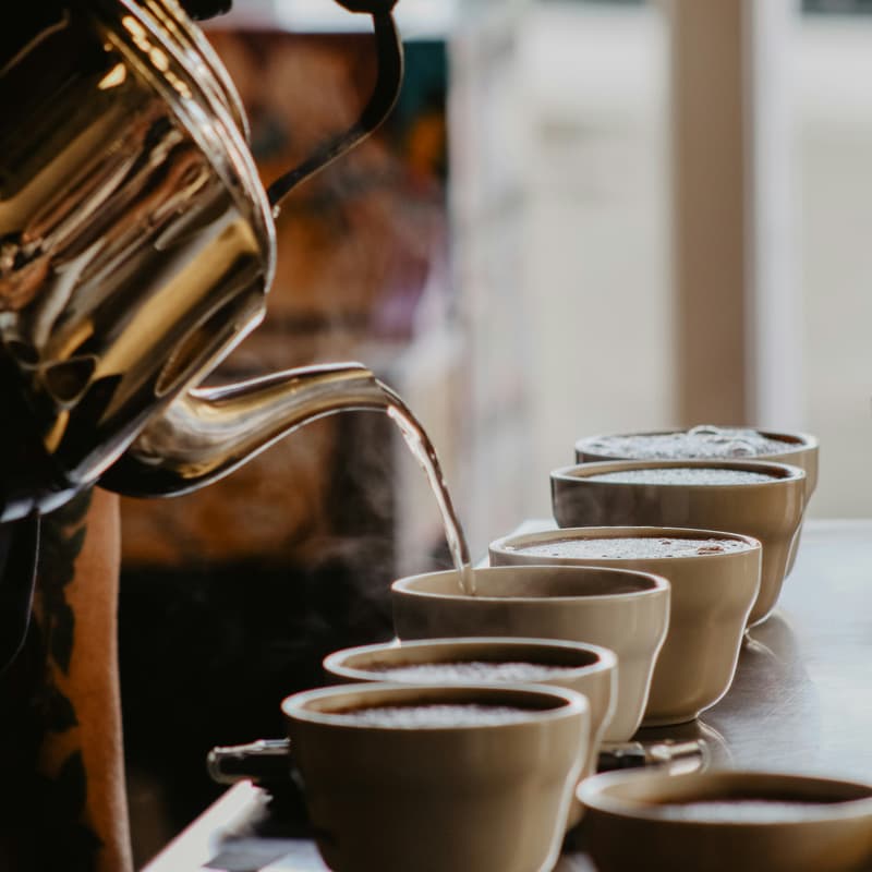 Cover Image for Infiltrado Cupping Sesh