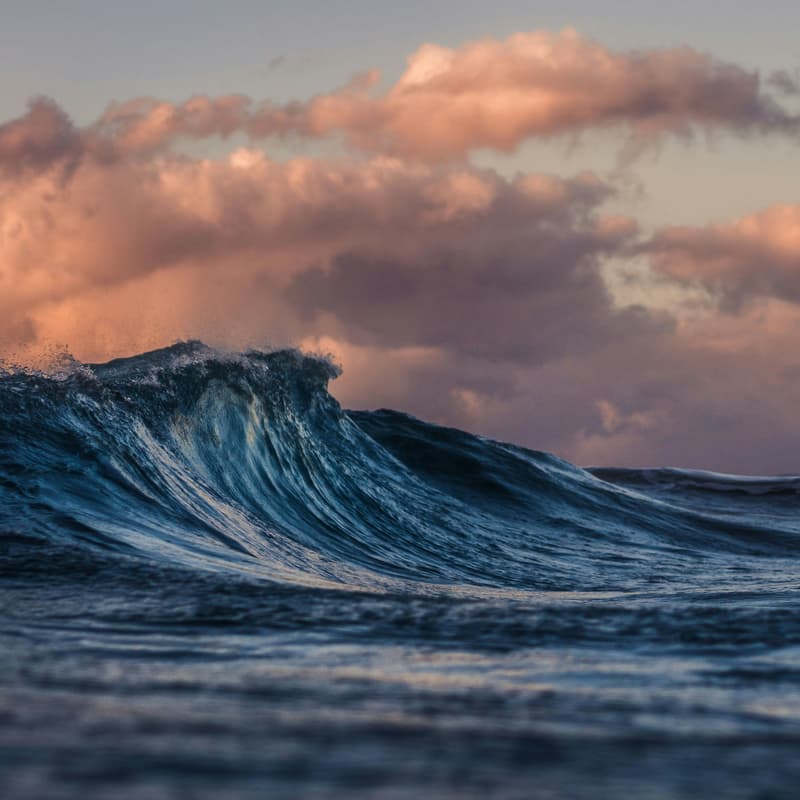 Cover Image for Catch the Clean Wave: Surfers in Climate