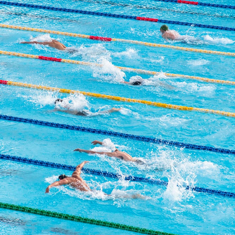 Cover Image for Swim-Off