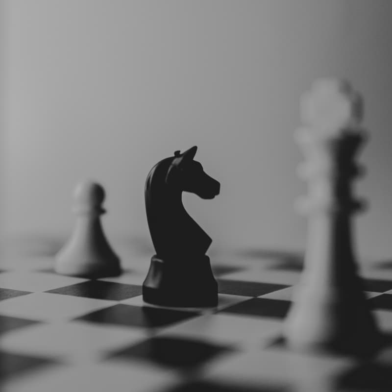 Cover Image for Chess Playing