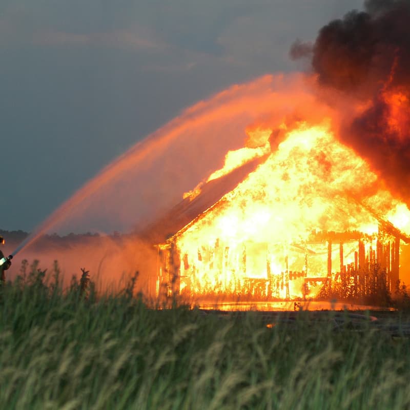 Cover Image for Wildfire: Innovation For Prevention & Adaptation