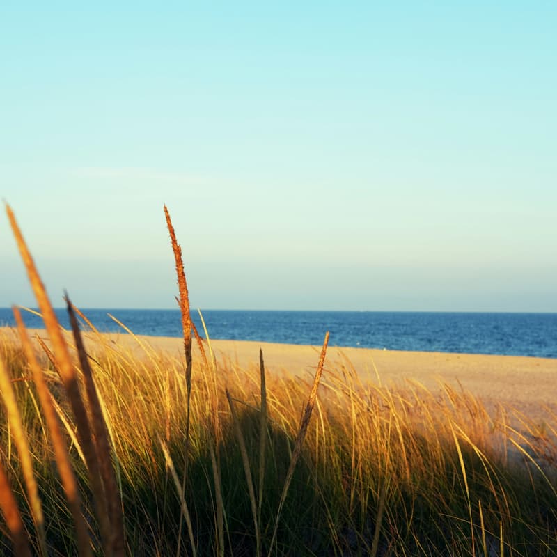 Cover Image for Hilltop in the Hamptons