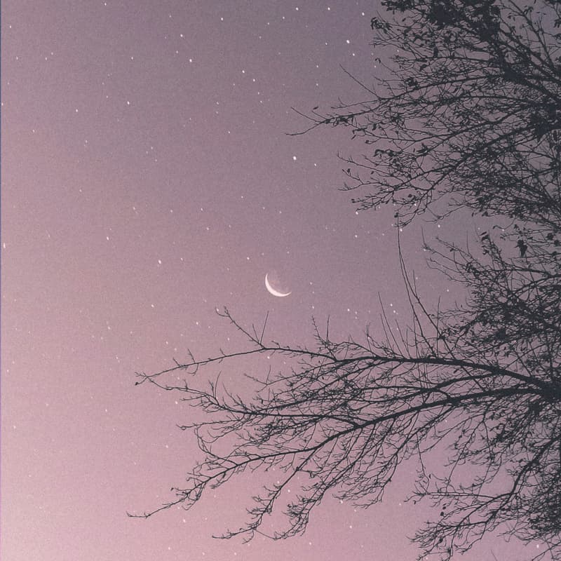 Cover Image for DEAR MOON, DEAR ME