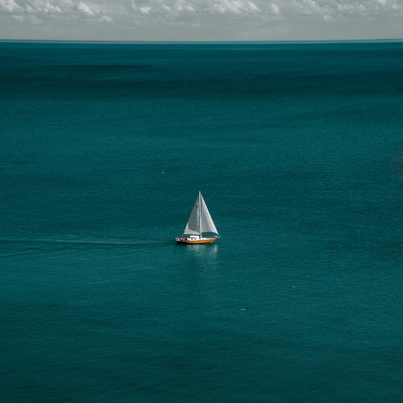 Cover Image for Sign Me In, Oh Muse: lessons from the odyssey for the age of algorithms