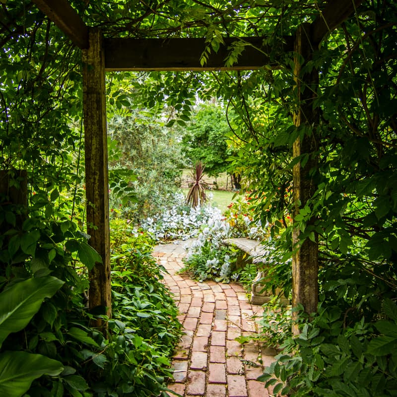 Cover Image for Garden Party! Vancouver