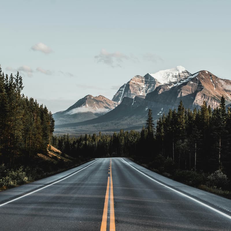 Cover Image for Off-Roading into Tech: Building Your Own Path with a COGS Degree
