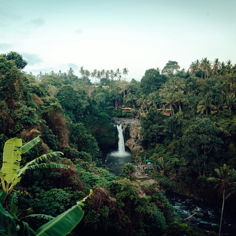 Cover Image for Making Biodiversity Markets Work for Indigenous Peoples