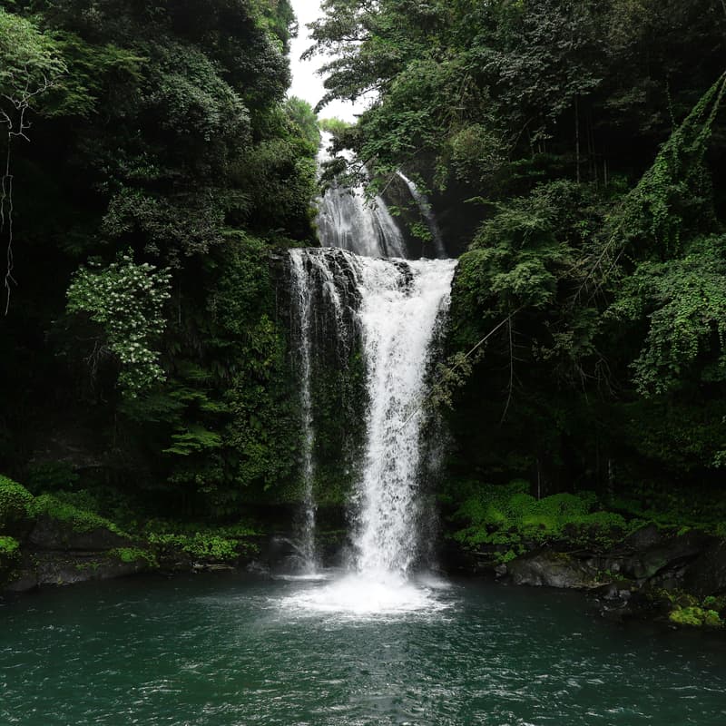 Cover Image for Forest Bathing & Hike to Datun Waterfall