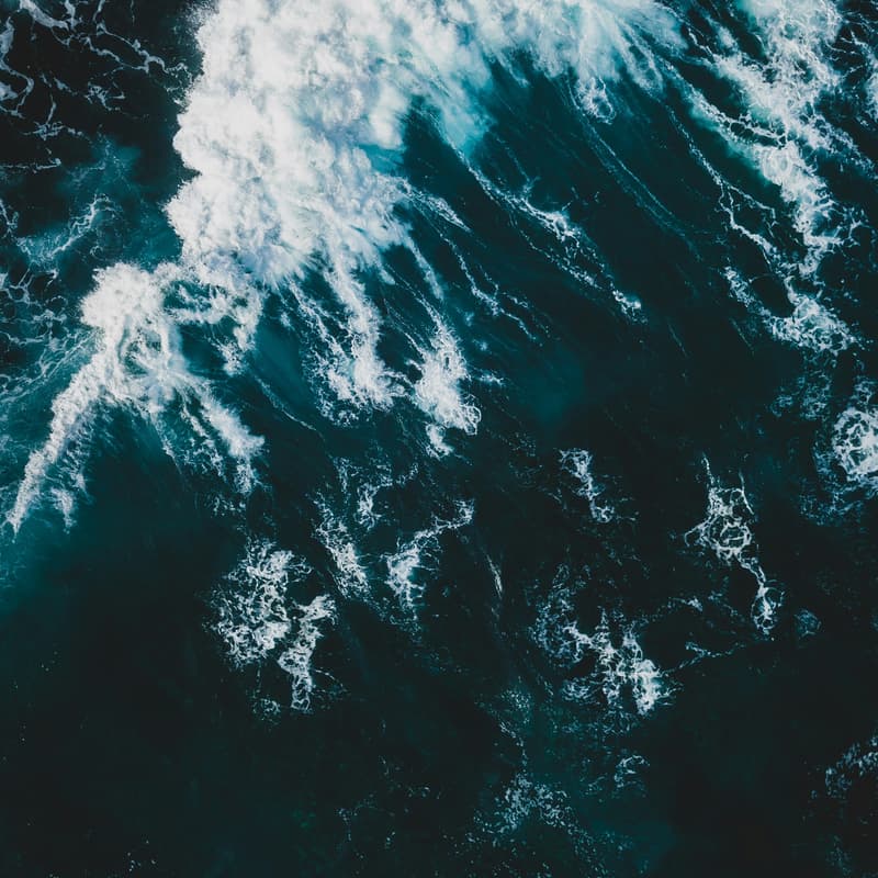 Cover Image for Ocean Awareness Swim🌊