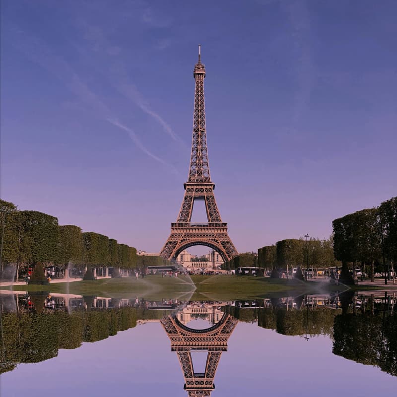 Cover Image for French Language