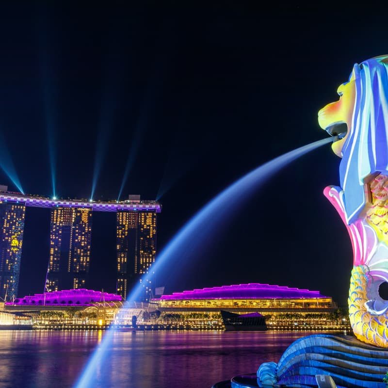 Cover Image for Go-to-Global: Setting up for success in Singapore