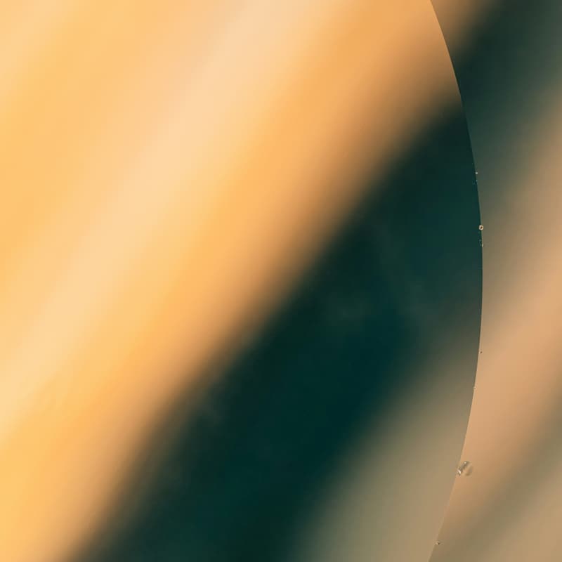 Cover Image for Oneliness Circle (January)