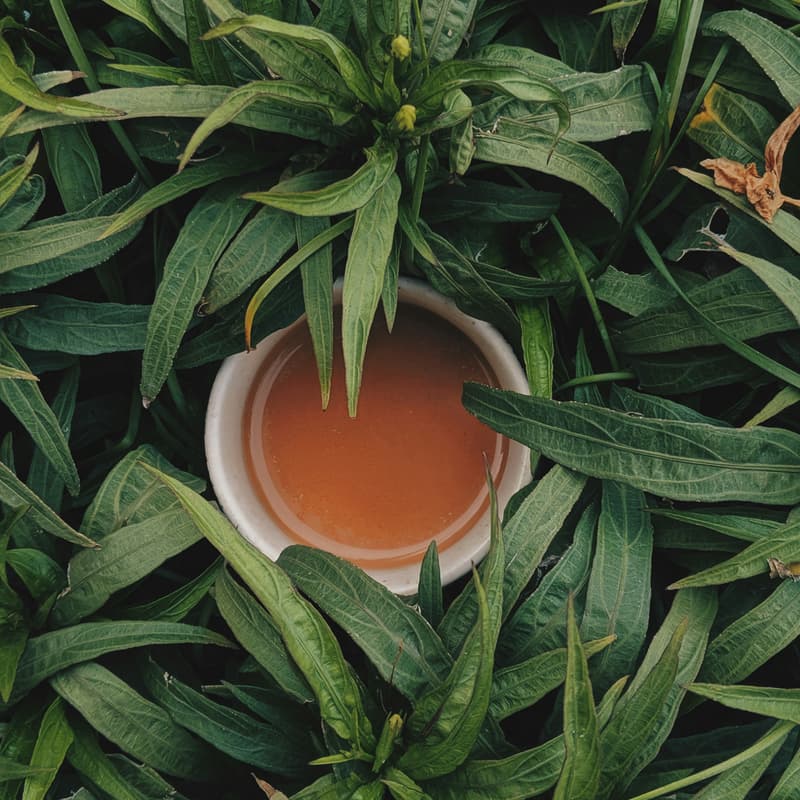 Cover Image for South Asian SustainabiliTEA