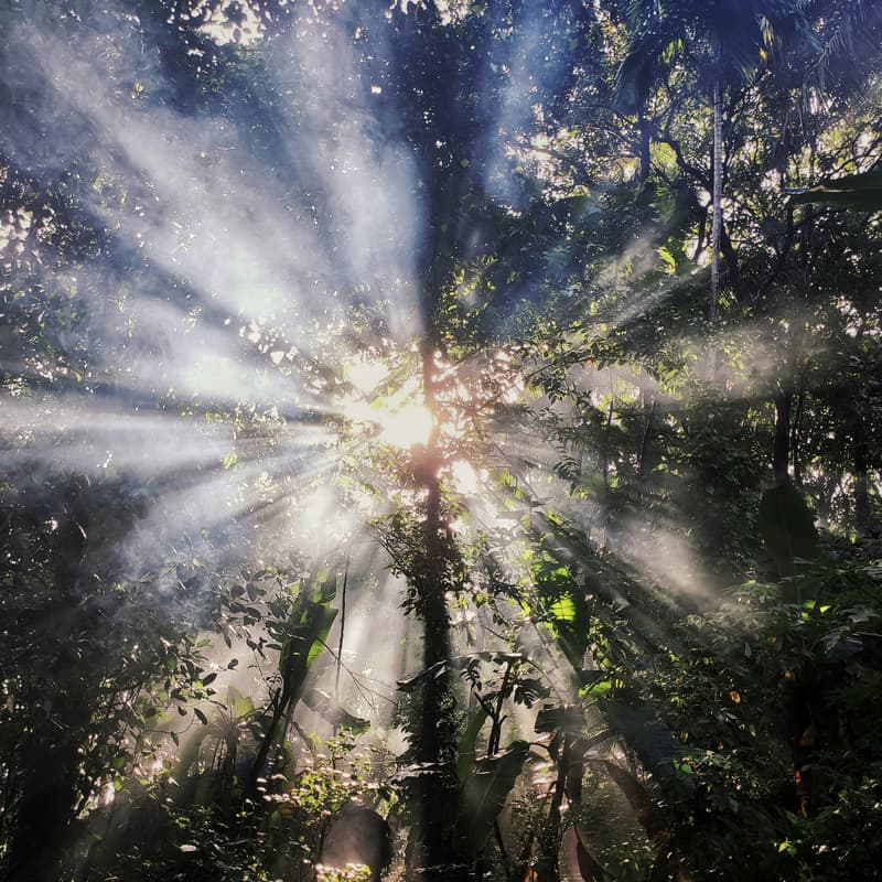 Cover Image for Monthly Soul Circle
