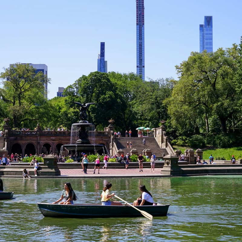 Cover Image for Paddle Boats & Picnic
