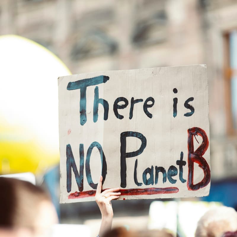 Cover Image for Climate Conversations: Books, Resilience & Community (75-min free Zoom workshop)