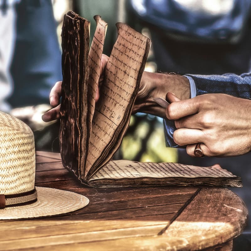 Cover Image for Pampa Learning #11: Evaluation