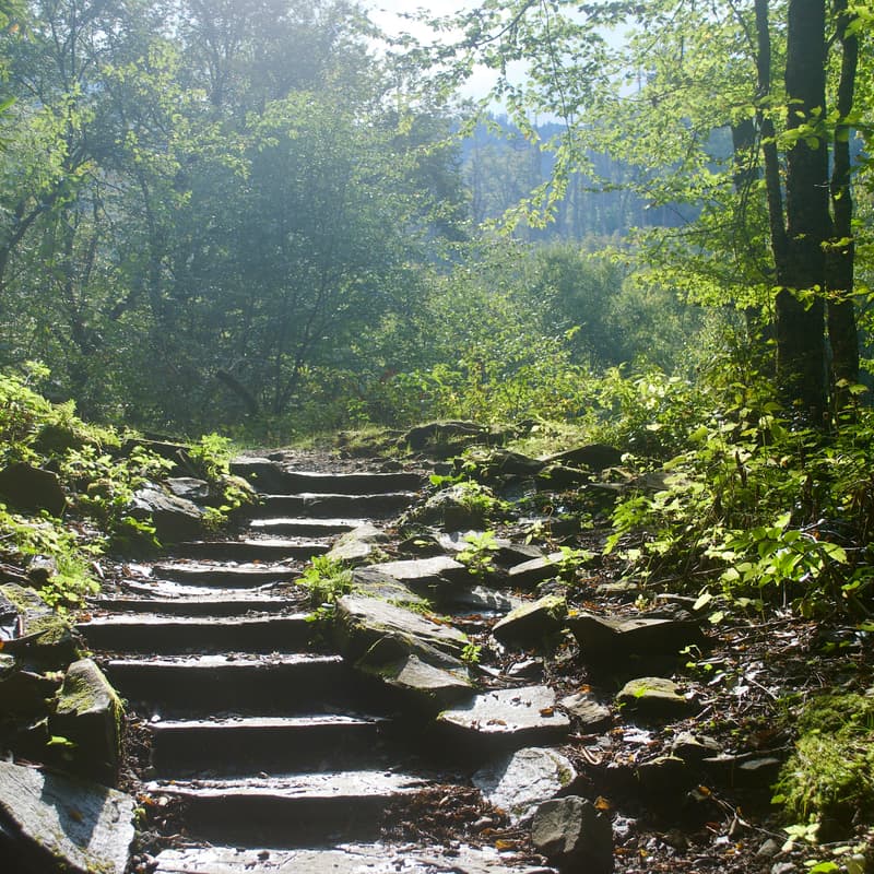 Cover Image for Fork of the Credits - 12 KM