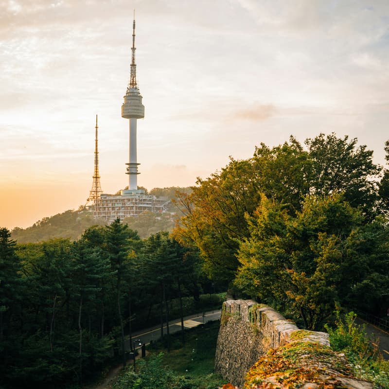 Cover Image for 🥾 OCT 31 | Namsan Costume Hike