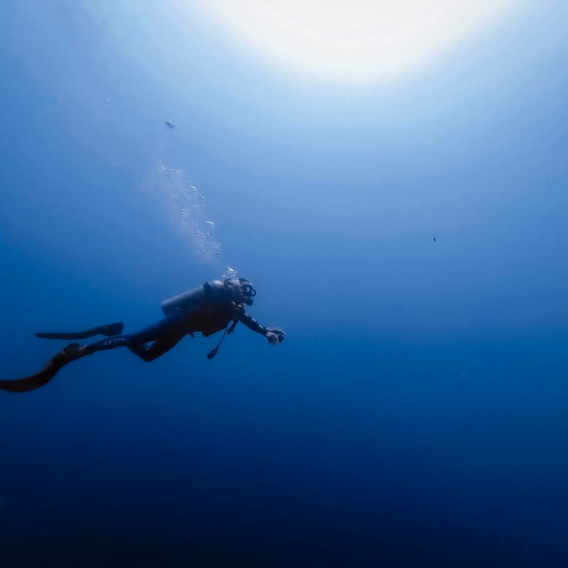 Cover Image for Surfrider: Unterwasser Clean-Up