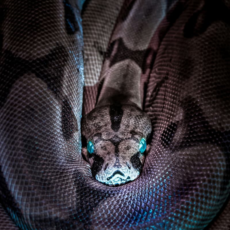 Cover Image for A Deeper Dive Into Mamba SSM Models @ Stanford