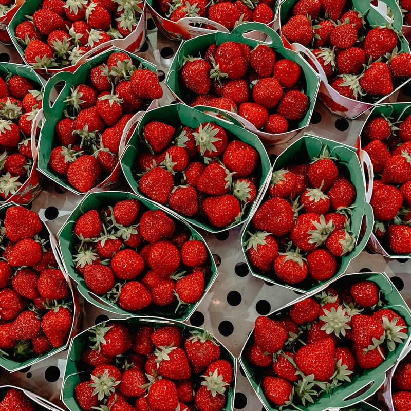 Cover Image for Signature Gathering at Castro Farmers Market in San Francisco