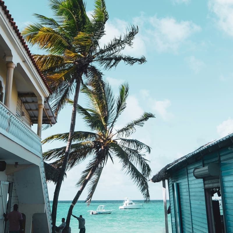 Cover Image for DOCK Town Hall (Members Only - Caribbean Night)