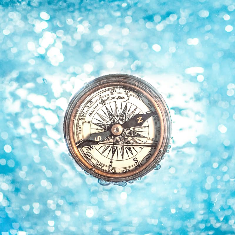 Cover Image for Finding True North