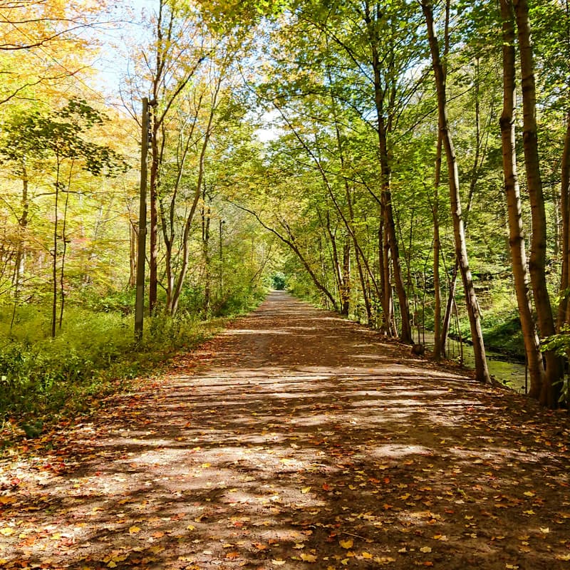 Cover Image for [Toronto] Uplift Collective Wellness Walk Series for Sustainability Professionals