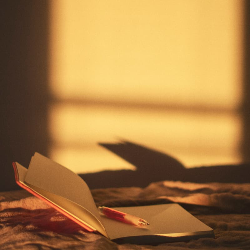 Cover Image for The Language of Debate: Closing your debate, and audience