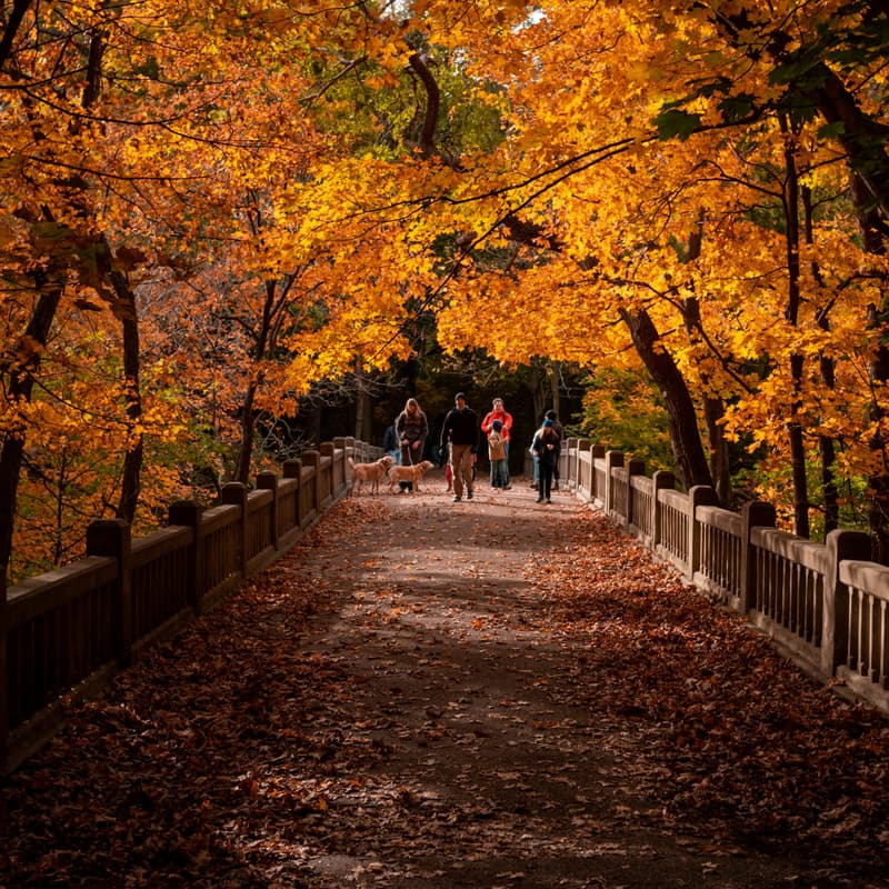Cover Image for Seattle ~ Women in Recruiting: Fall Walk & Talk
