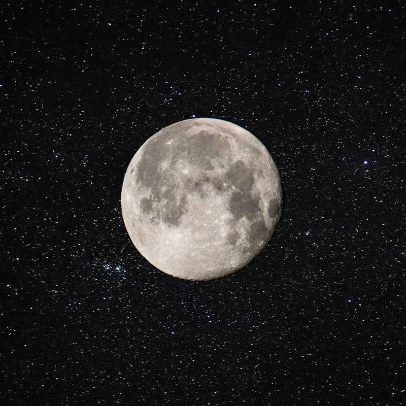 Cover Image for Buck Full Moon Walk