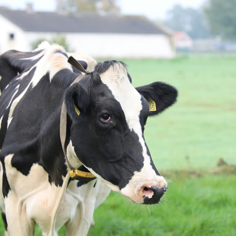 Cover Image for Methane Matters! An Industry Convening