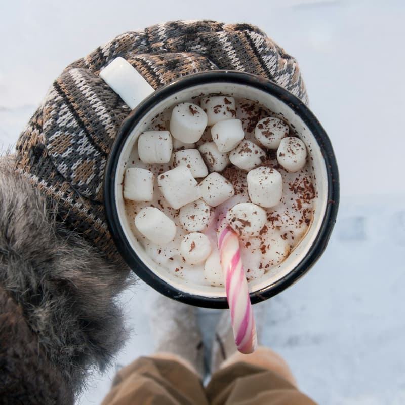 Cover Image for Cocoa, Cookies and Crafts