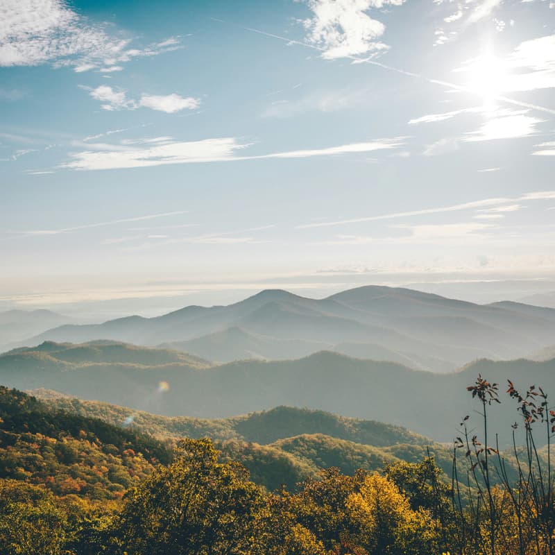 Cover Image for Info Session: Ketamine-Assisted Psychotherapy in North Carolina