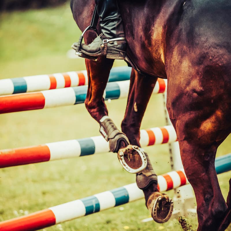 Cover Image for Show Jumping de Megève