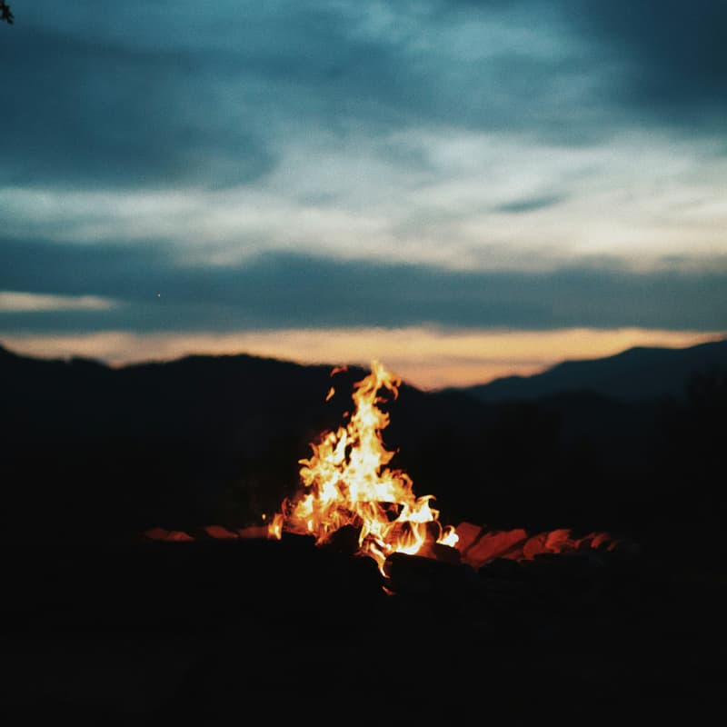Cover Image for Fireside Chat w/ Mother + Son co-founders
