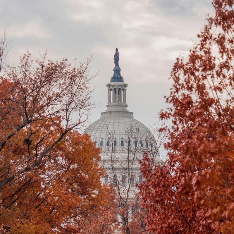 Cover Image for Quintuple Aim | NAACOS Fall Reception