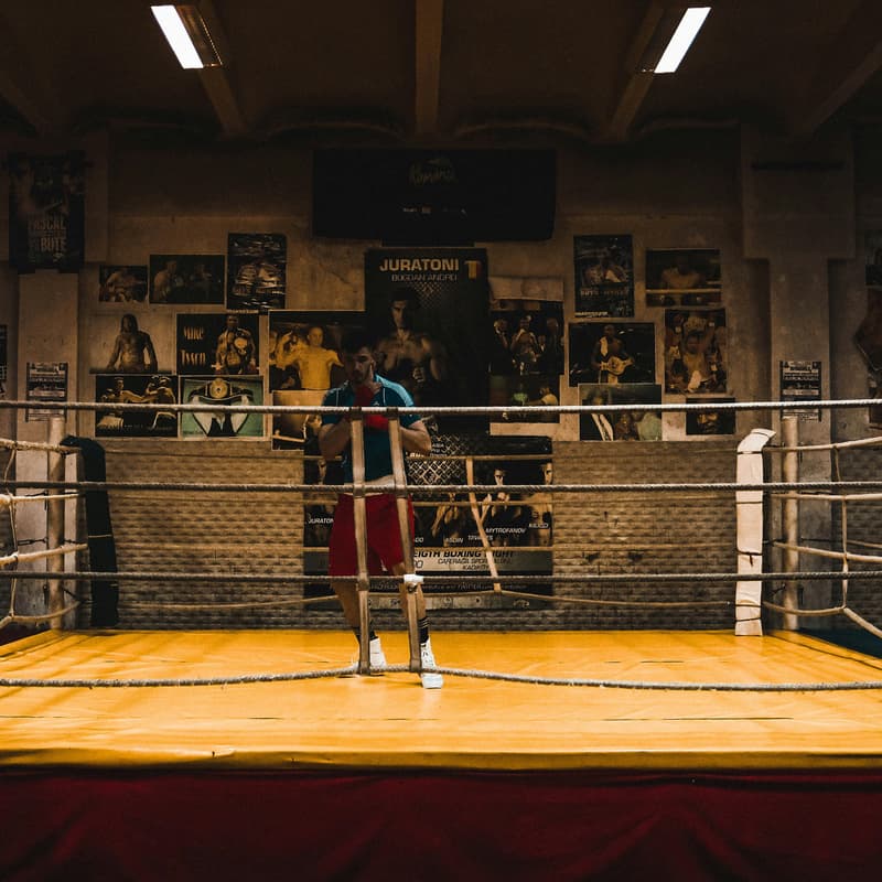 Cover Image for 🥊 👯‍♀️ VC Knockout: Female VC Boxing Spectacular