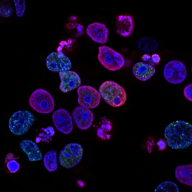 Cover Image for Biopharma Happy Hour - NC Biotech Center