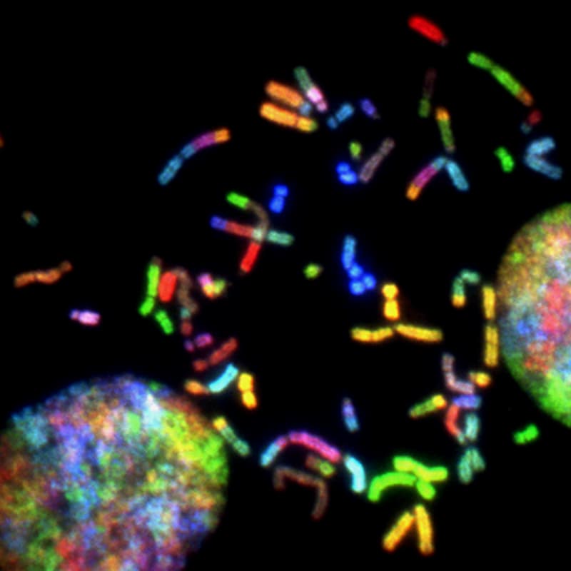 Cover Image for Toronto Biotech Happy Hour (Bits n Bio)