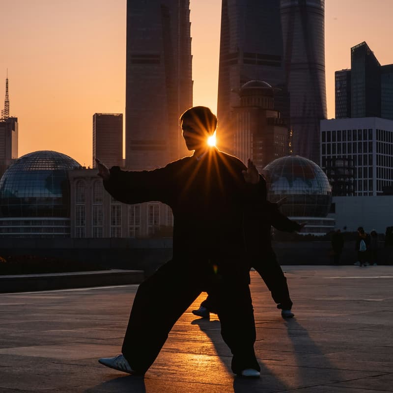 Cover Image for 陈思坦 - 太极42式