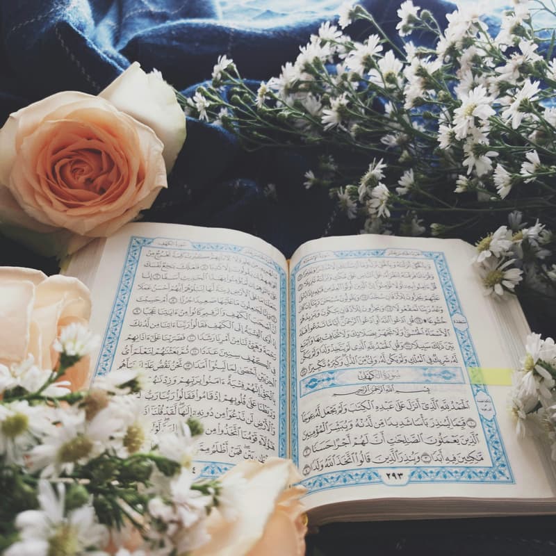 Cover Image for Sisters Quran Circle (Post Taraweeh)