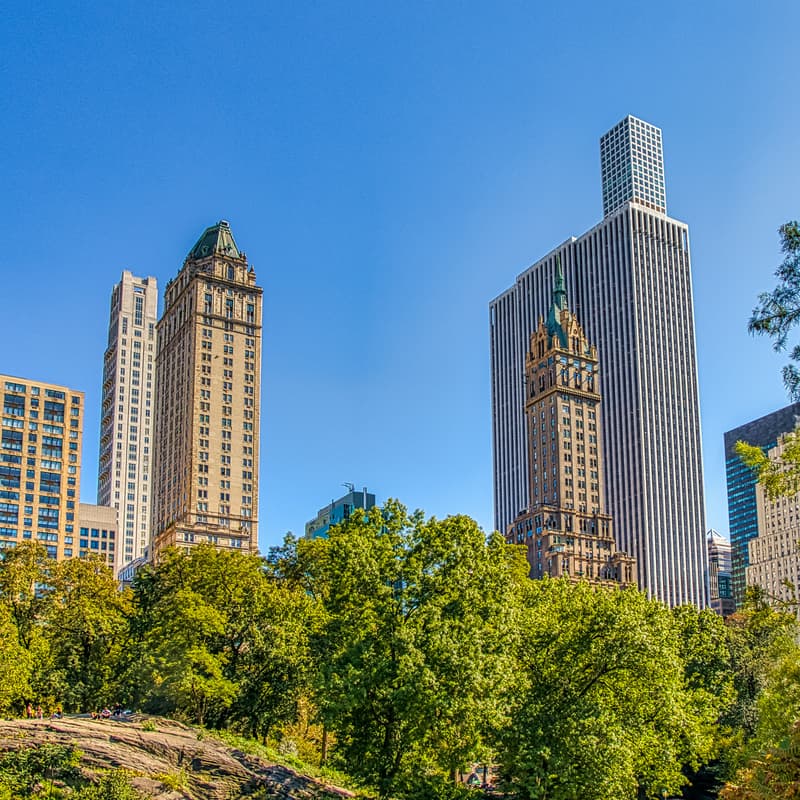 Cover Image for Members-Only Sculpt Class in Central Park ☀️