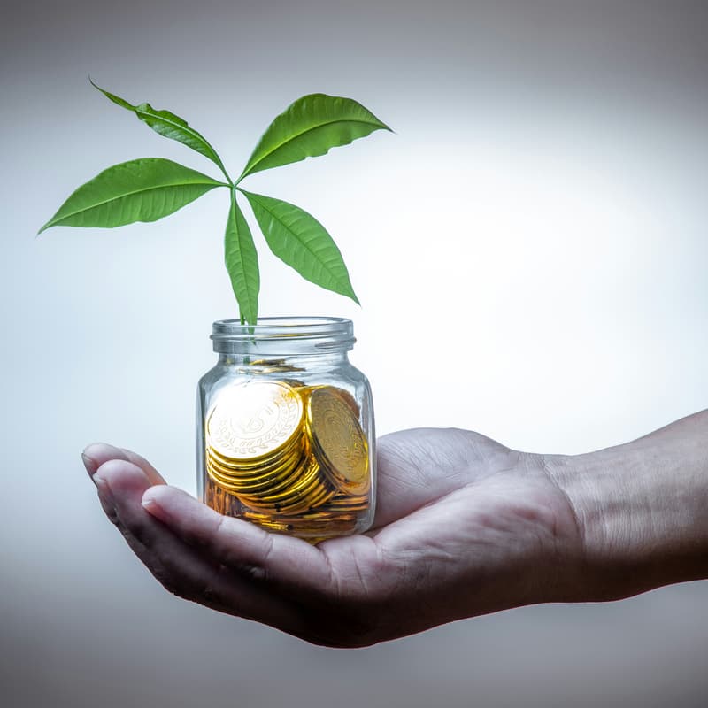 Cover Image for Philanthropy 101: A Place to Start