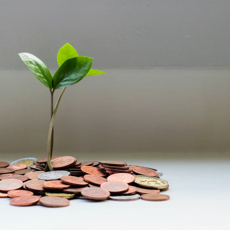 Cover Image for Session: How Money Works & What G$ Can Become for the Commons