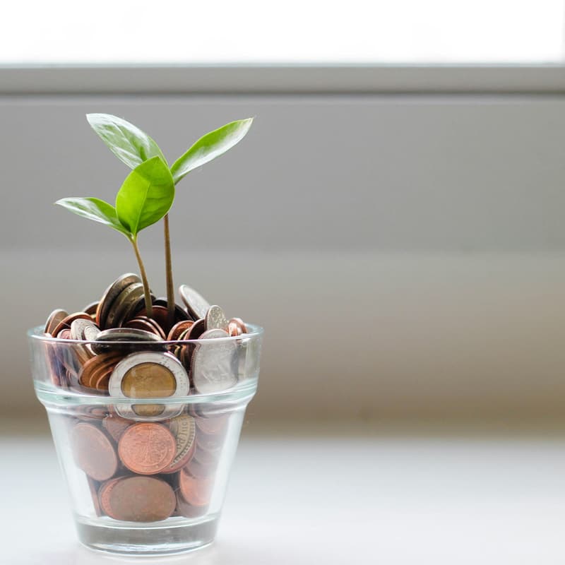 Cover Image for Fundraising with VCs
