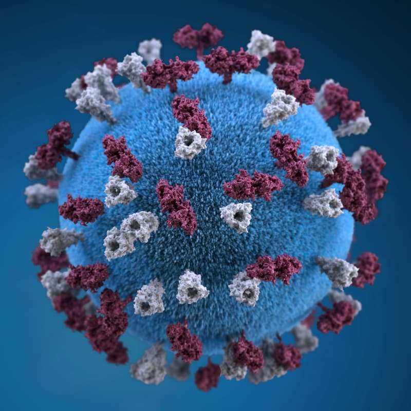 Cover Image for BioML Seminar 3.2 - Benchmarking Model Performance on Pandemic-Threat Viruses