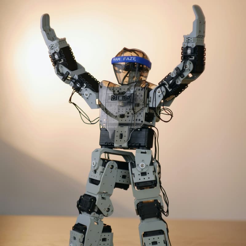 Cover Image for Humanoid Birthday Party